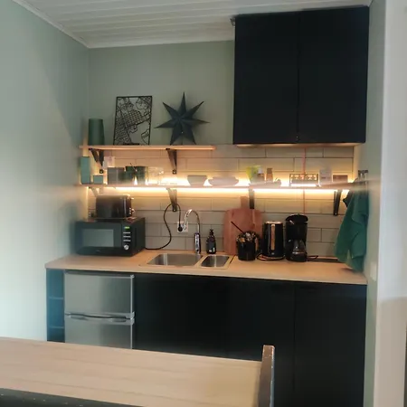 Vierastalo Koivu Hämeenlinna