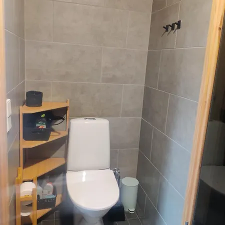 Vierastalo Koivu