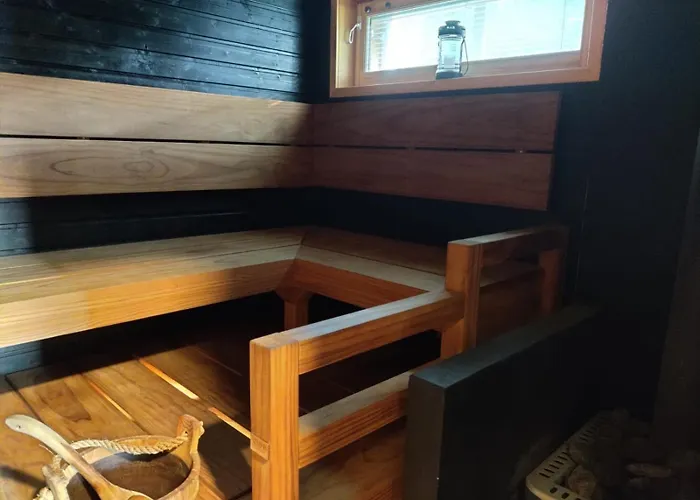 Vierastalo Koivu Daire