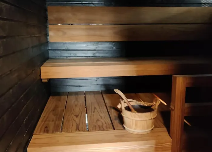 Daire Vierastalo Koivu Hämeenlinna