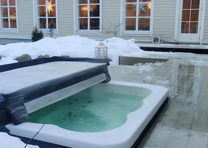 Daire Vierastalo Koivu *